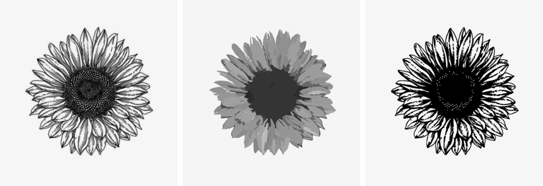 621665cd24489a7ef9df74df_Auto Trace 2