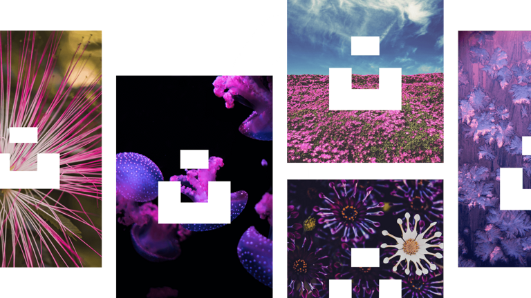 Blog Image 2