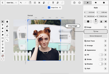 Crop Image button