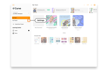 Project settings in Linearity Workspace