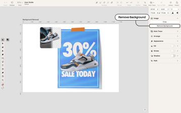 Background removal visual
