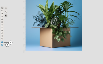The color widget