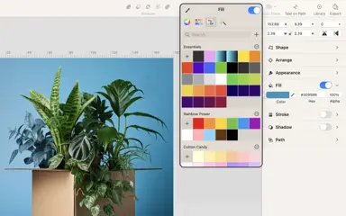 Image