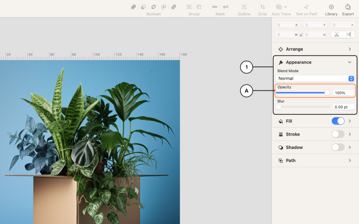 Setting the opacity