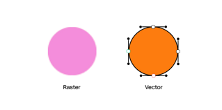 vector versus raster