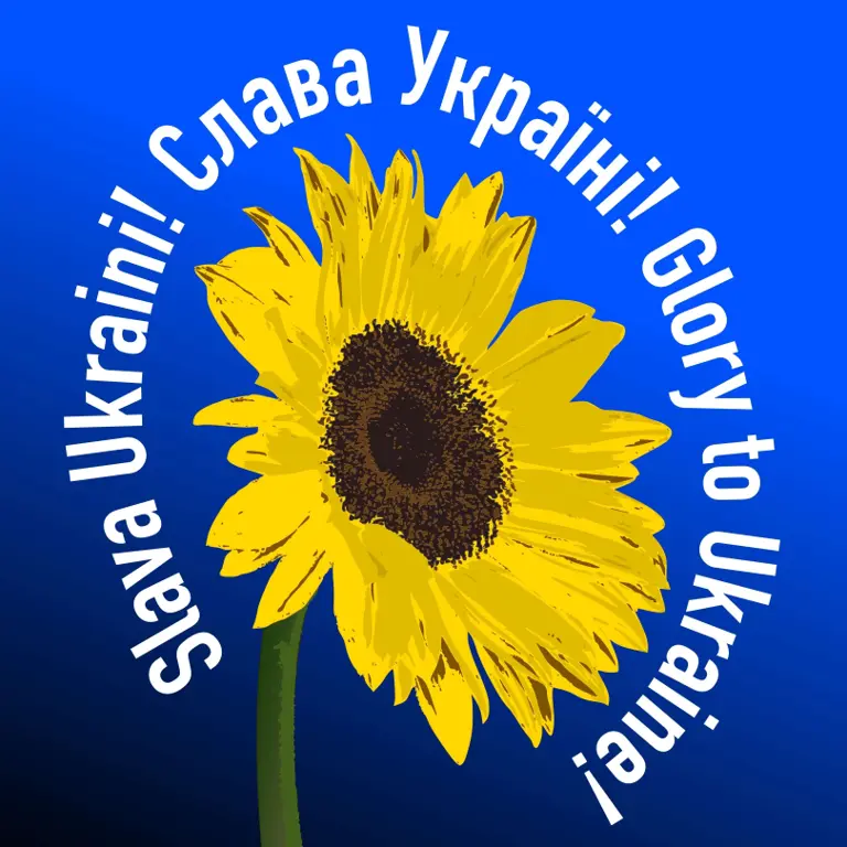 625ff1a2227fe341935b26da_Sunflower f