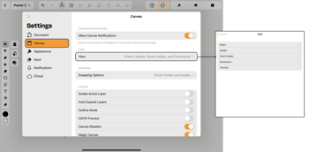 Canvas settings window