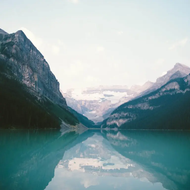 how_to_embrace_a_natural_color_palette_in_your_designs_image_1