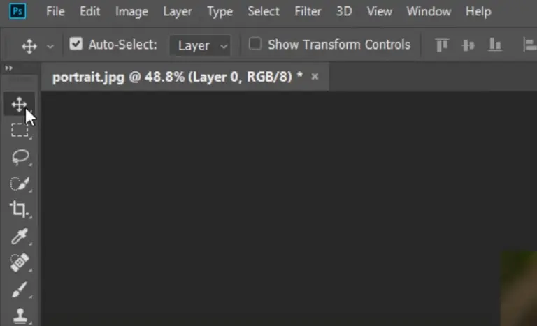 Design application interface
