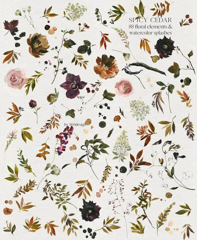 Watercolor flowers clipart