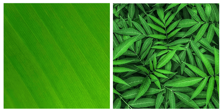 the_colors_of_the_rainbow_for_designers_image_12