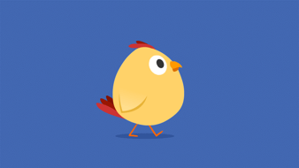 Chicken Blog Image