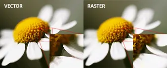 omparison of raster vs vector artwork at high magnification