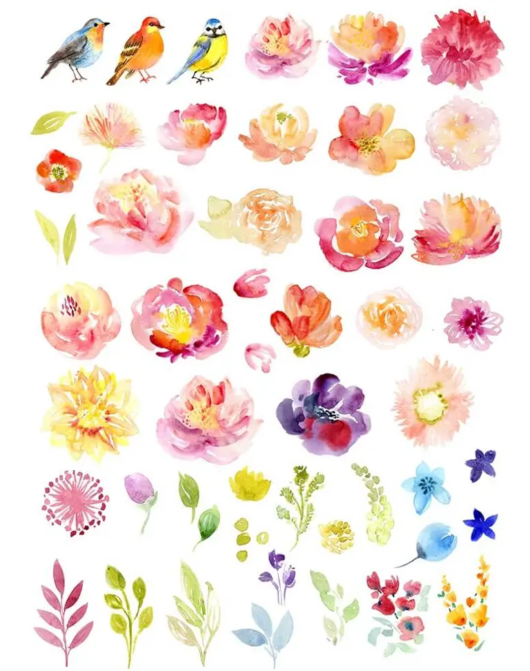 Bird, flower, and leaf watercolor clipart