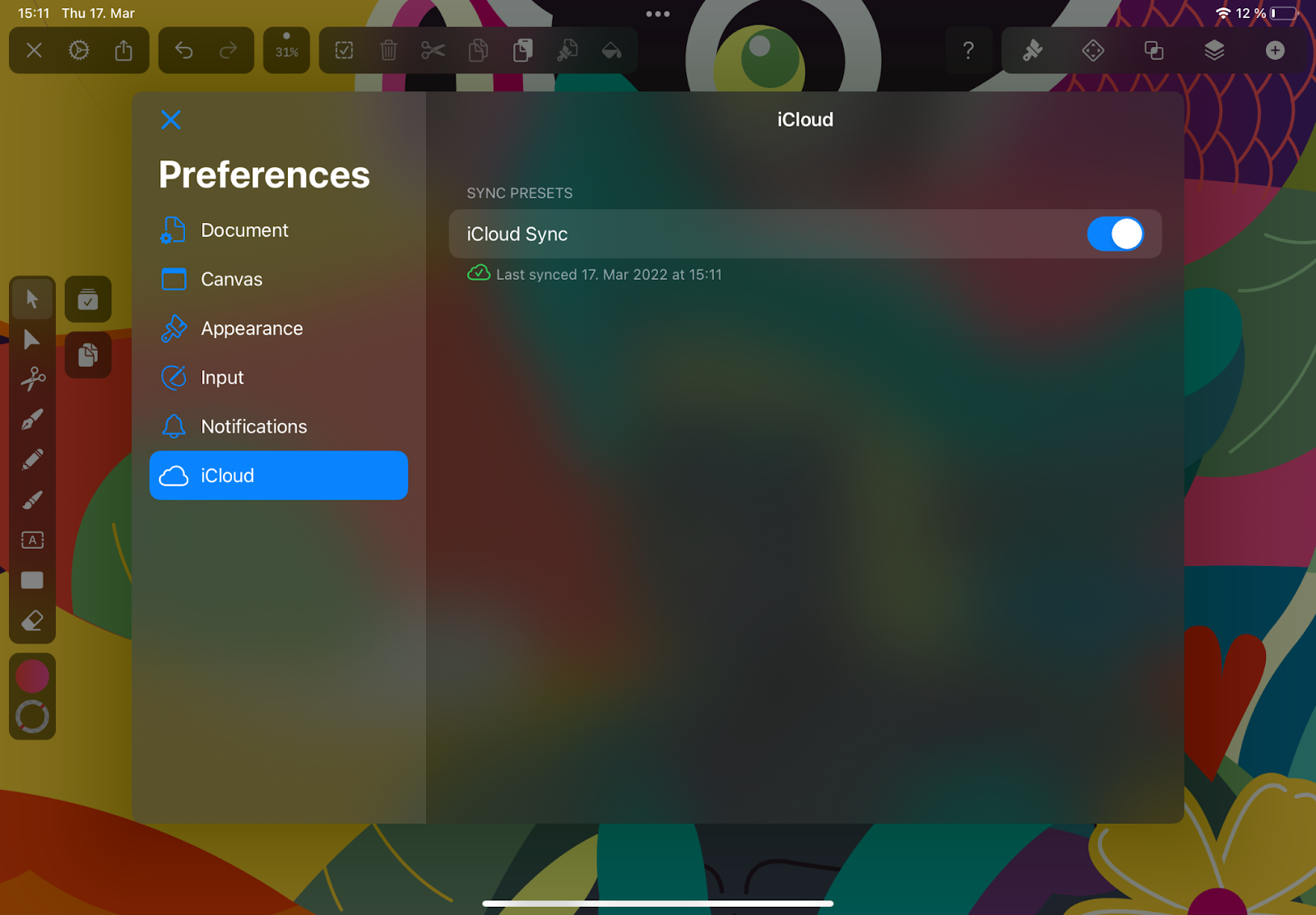 Software preferences menu with iCloud sync option