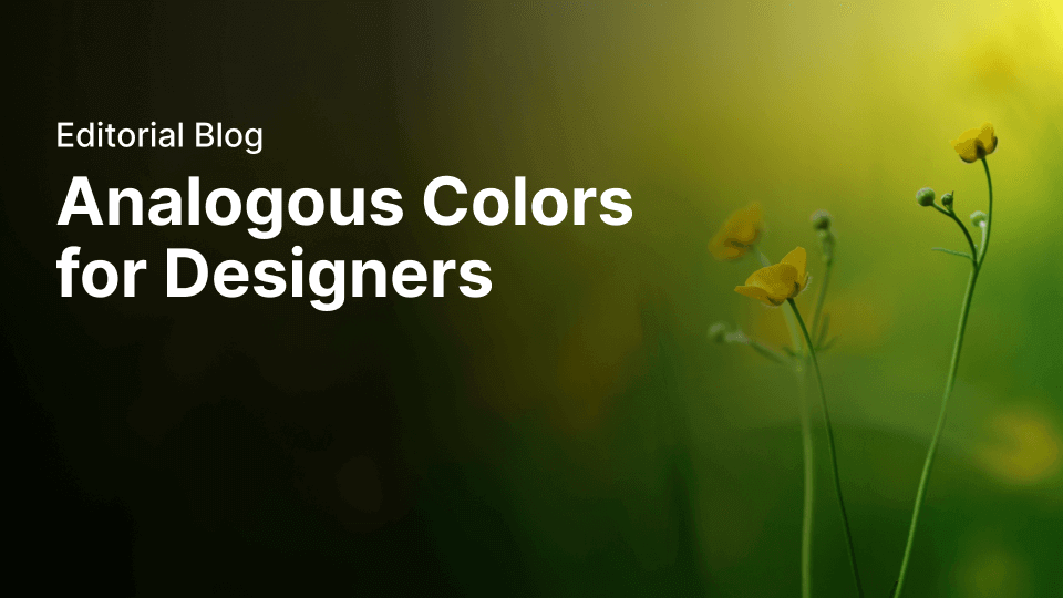 Analogous colors for designers | Linearity Curve (formerly Vectornator)