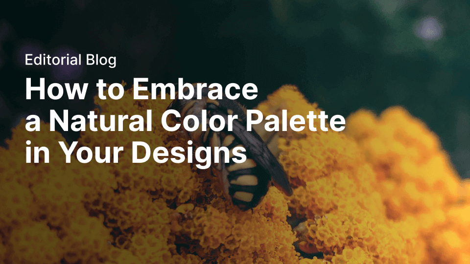 How to embrace a natural color palette in your designs | Linearity