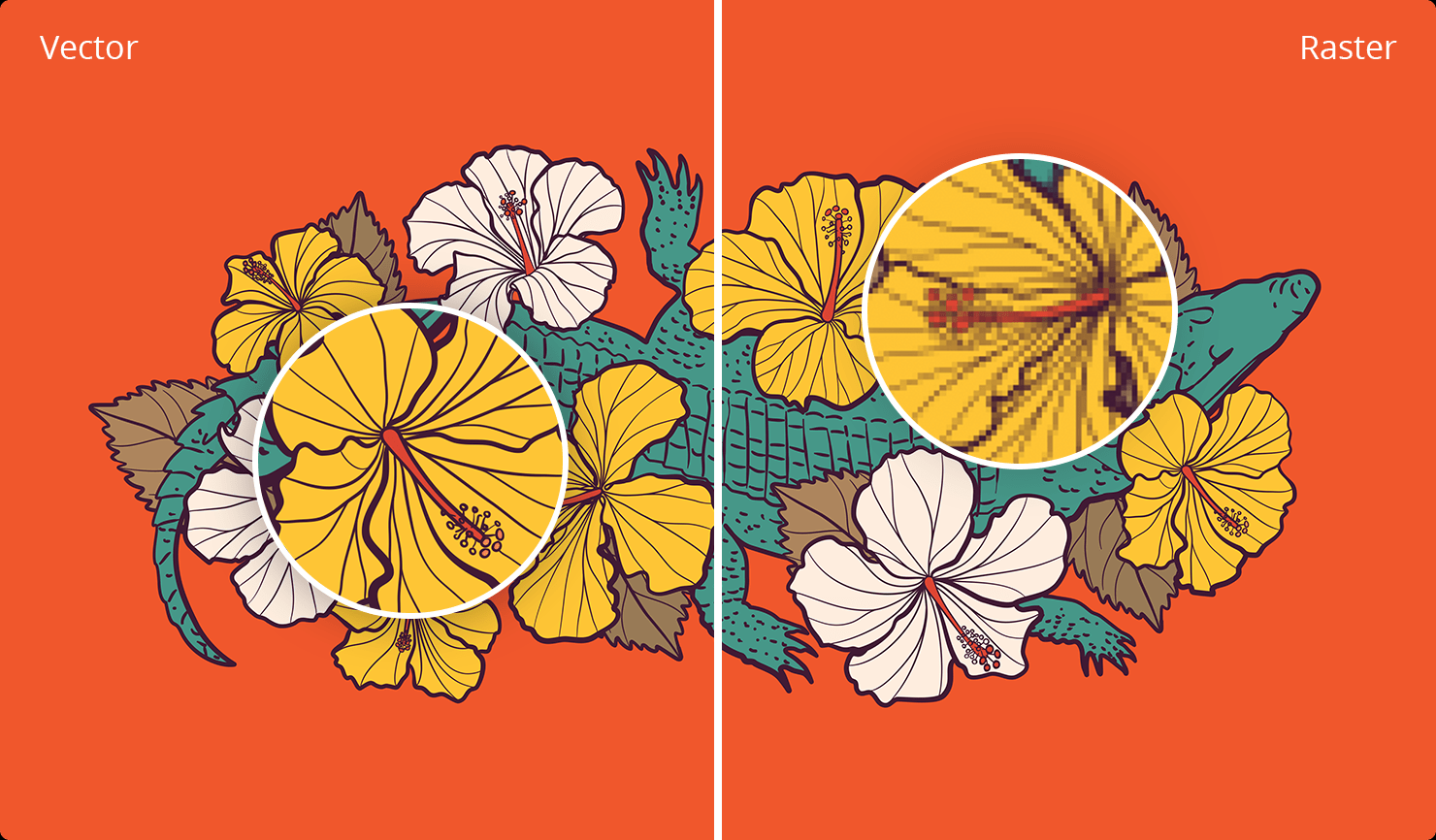 Vector flowers on an orange background
