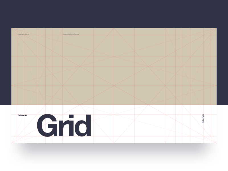 Grid lines on a white and black background