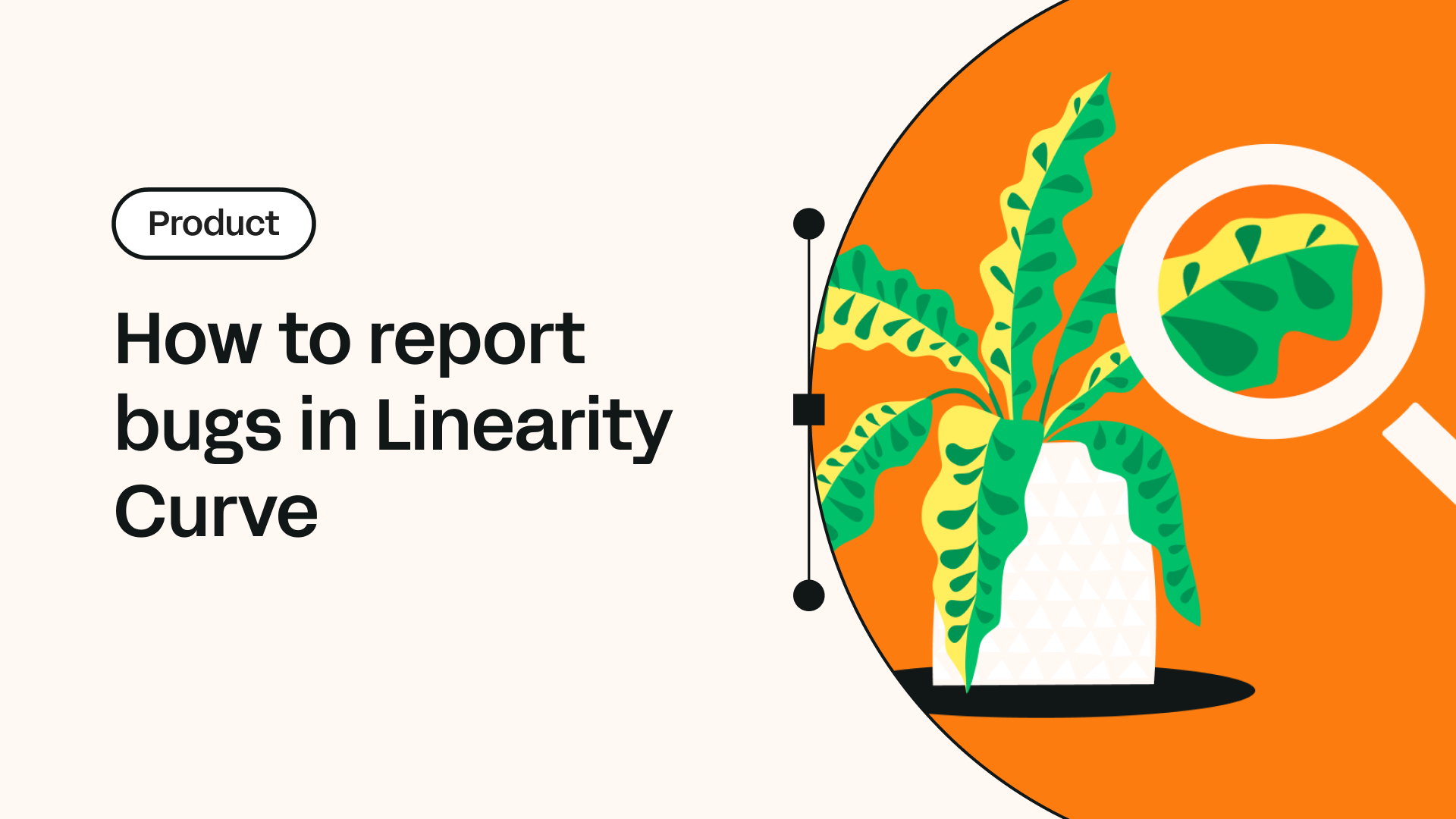 How to report bugs in Linearity Curve | Linearity