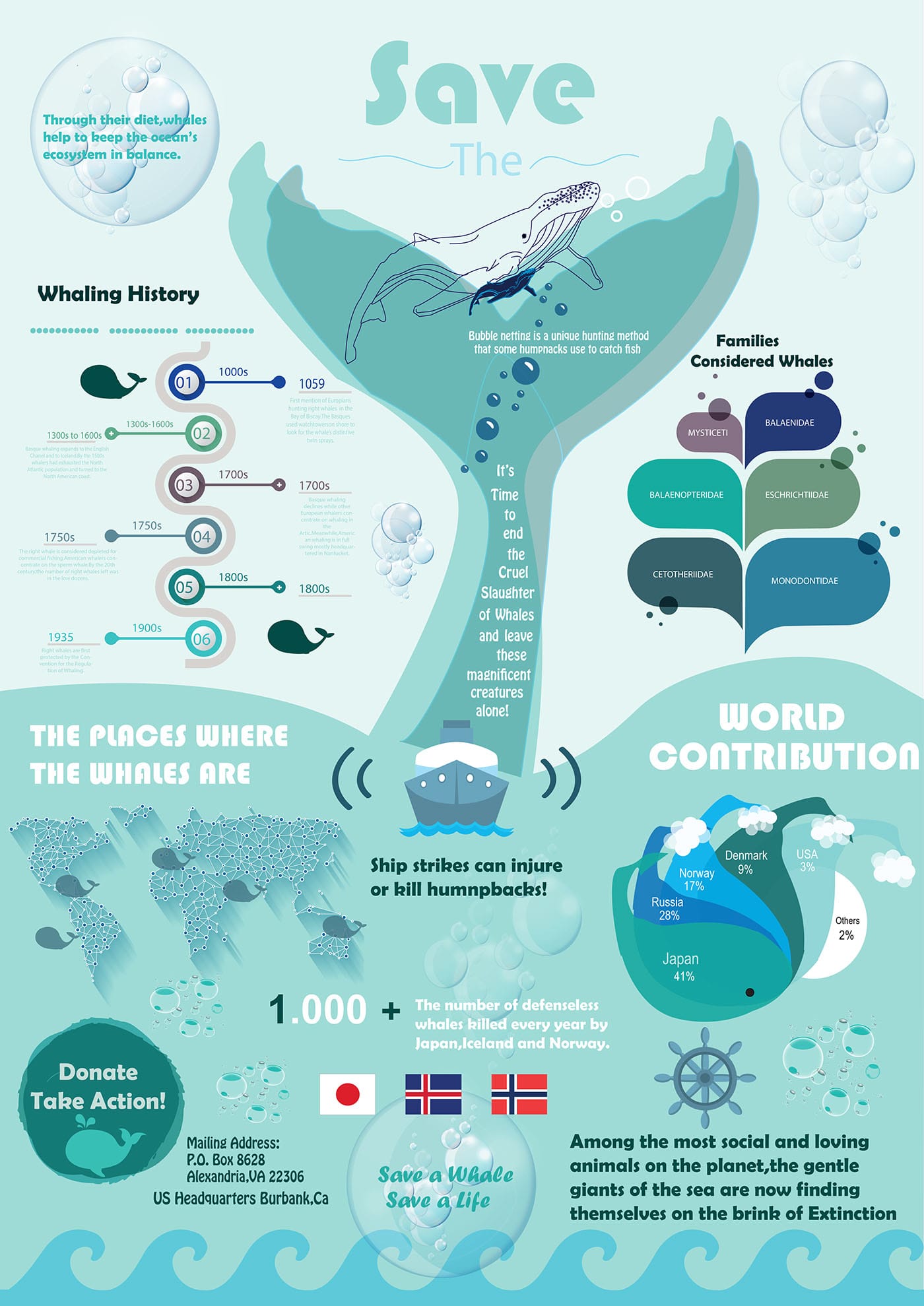An infographic showing the importance of whale conservation