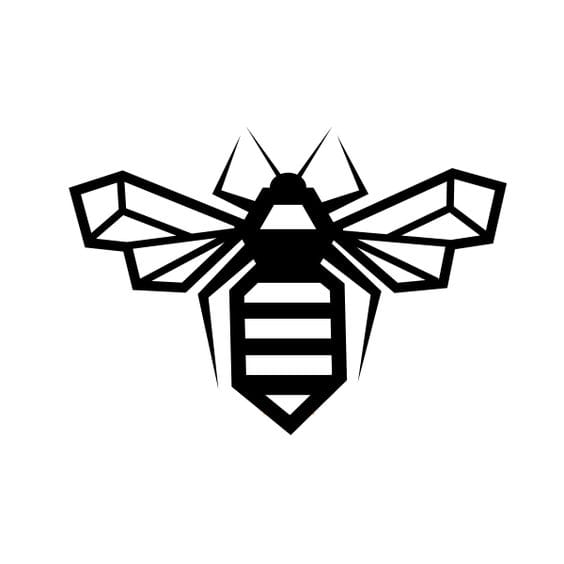 vector image of a bee