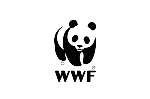 WWF animated logo design