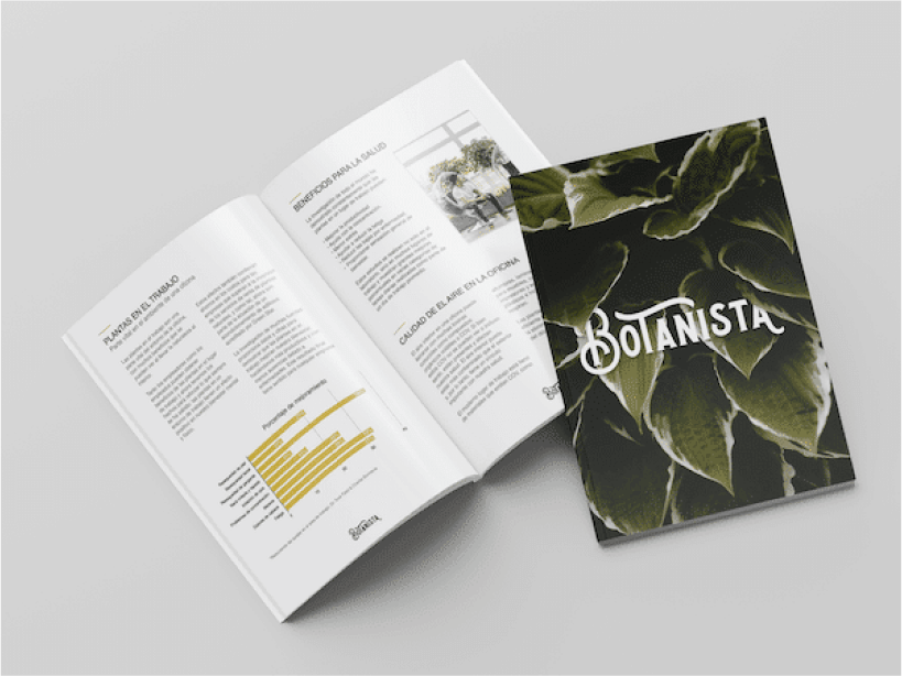 A book layout and cover design done in Linearity Curve by design agency Zōtellö